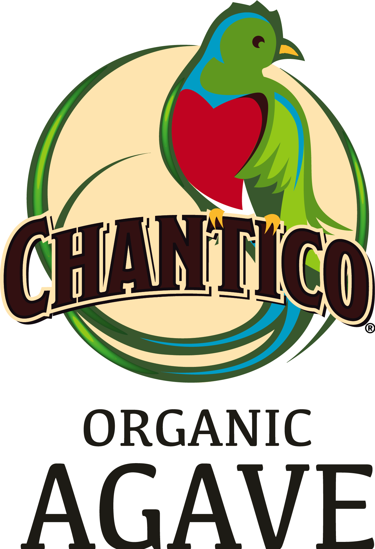 CHANTICO AGAVE